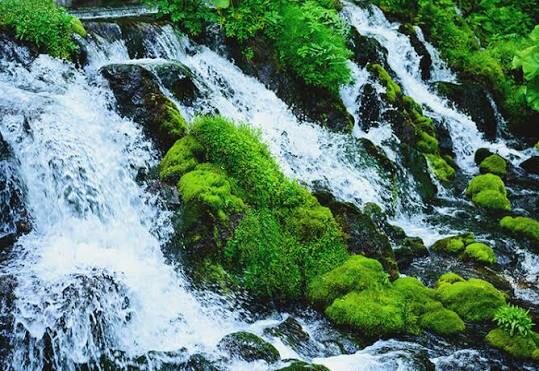 苔むした岩を流れ落ちる清水